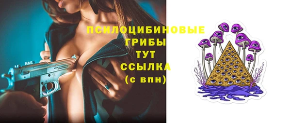 apvp Пестово