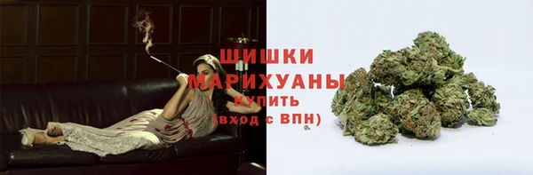 apvp Пестово