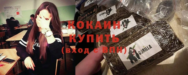 apvp Пестово