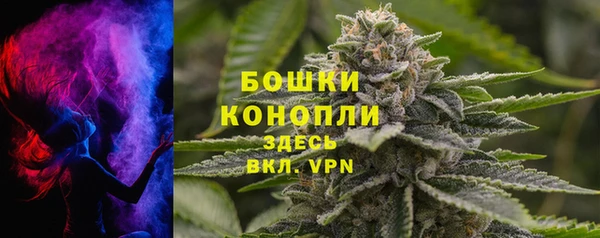 apvp Пестово