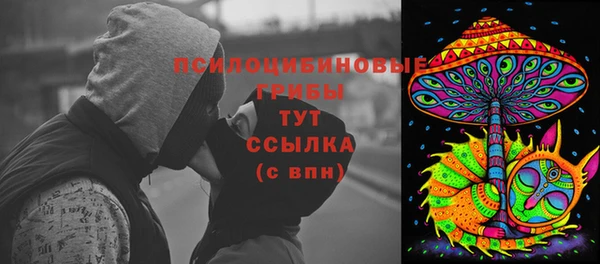 apvp Пестово